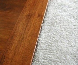 Carpet and Hardwood