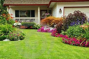Landscaping makes for nice online appeal